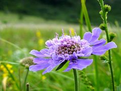 -白草畔自然风景区
