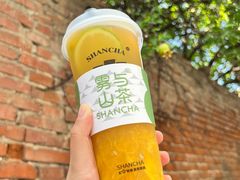 -雾与山茶(大禹城店)