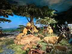 -国家自然博物馆