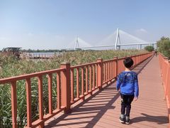 -芒洲湿地公园