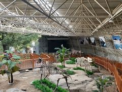 -中国第四纪冰川遗迹陈列馆