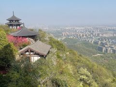 -杭州半山国家森林公园