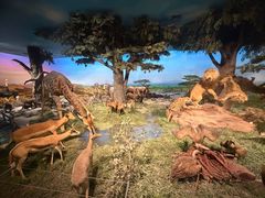 -国家自然博物馆