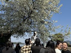 -晓琦农家菜馆·地道农家菜