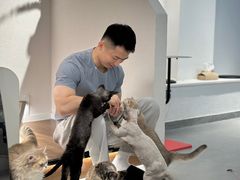 -琪喵猫屋·撸猫猫咖·猫舍