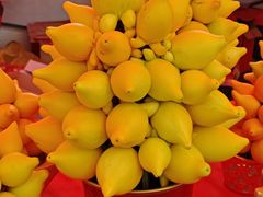 -越秀西湖花市(广州城市广场花卉店)