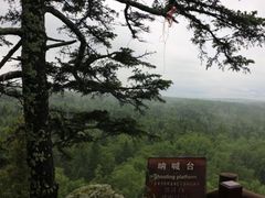 -汤旺河林海奇石景区