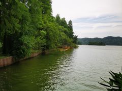-东湖落雁景区