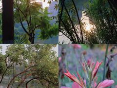 -重庆彩云湖湿地公园