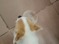 -鲜甜阁·甜品小吃(七星路店)