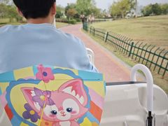 -九龙湖公园