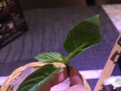 -曼谷铂尔曼皇权酒店