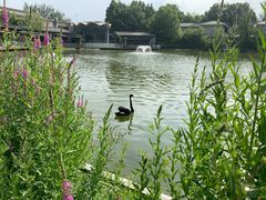 -春晖园度假酒店温泉