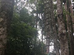 -乌鲁淡布隆国家公园