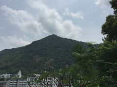 -广州市流溪河国家森林公园