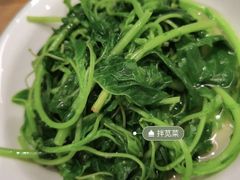 -老乡鸡(上海白玉兰广场店)