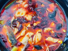 -香厨中餐厅(松北香格里拉店)