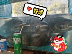 -浔味·山屿湖·正宗淳牌全鱼宴老字号