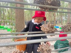 -新加坡伊顿上海马雅思幼儿园