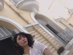 -胡志明市美术馆