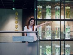 -广东中医药博物馆
