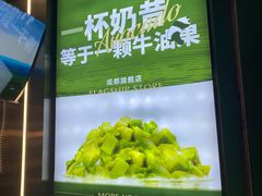 -茉酸奶(春熙路店)