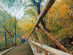 -孤山寨风景区