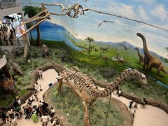 -辽宁古生物博物馆