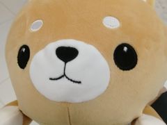 -NITORI 宜得利家居(杭州良渚永旺店)
