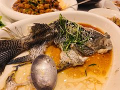 -沪华海鲜大酒楼(南汇店)