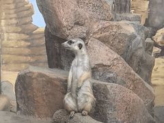 -海合安成都极地海洋公园