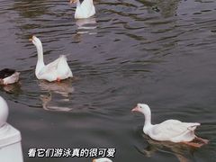 -天津市动物园