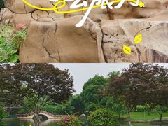 -深圳龙潭公园