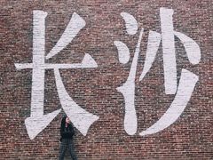 -阿捡忭京炸鸡(韭菜园总店)
