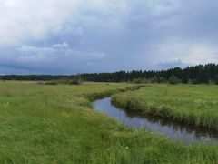 -塞罕坝国家级自然保护区