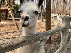 -昆山城市生态森林公园