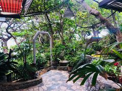 -卷心菜和避孕套餐厅(Pattaya)
