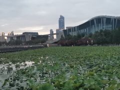 -月湖风景区