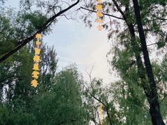 -万泉公园