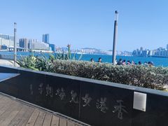 -星光大道
