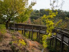 -南京市江宁方山