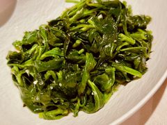 -白云中餐厅·粤菜·亚龙湾喜来登度假酒店