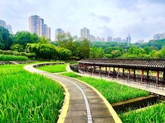 -龙头寺公园