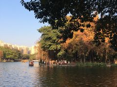 -荔湾湖公园