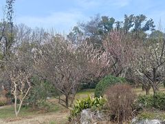 -东湖落雁景区