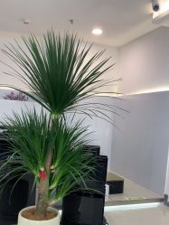 -HaLo hair studio