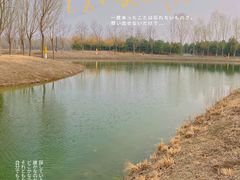 -东郊湿地公园