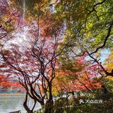 在如此美景中喝咖啡，何感？