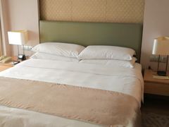 -佛山岭南天地康得思酒店