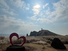 -涉地可支